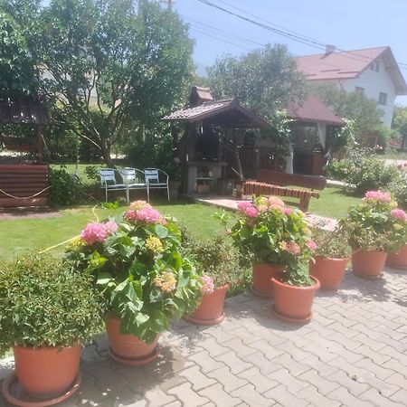 Casa Cornelia Hotel Bran  Ngoại thất bức ảnh