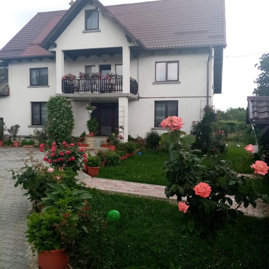 Casa Cornelia Hotel Bran  Ngoại thất bức ảnh