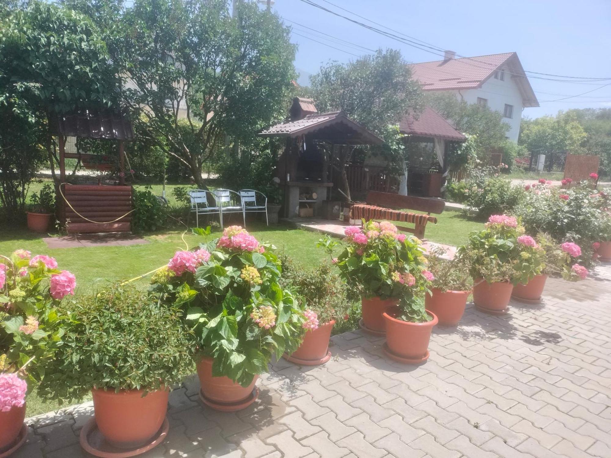 Casa Cornelia Hotel Bran  Ngoại thất bức ảnh